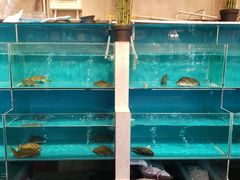 -美庐时尚餐厅(菱角湖店)