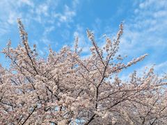 -复旦大学本部-食堂