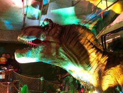 -恐龙探索乐园(磁器口店)