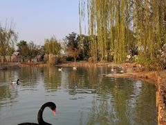 -祥源·阜阳生态乐园