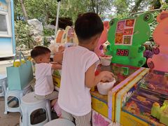 -塘沽森林公园