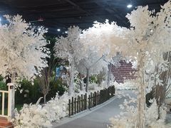 -樟宜机场免税店