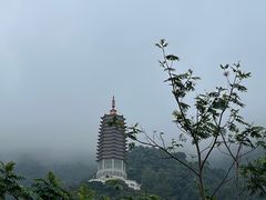 -深圳仙湖植物园