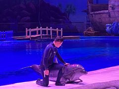 -华夏文旅海洋公园