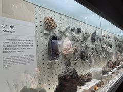 -浙江自然博物院(杭州馆)