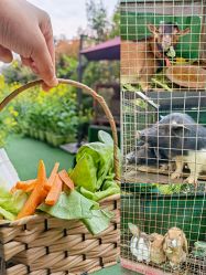 -可可天空农场(中大店)