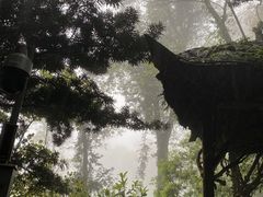 -青城山