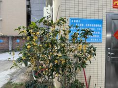 -腰记饭店(龙源路店)