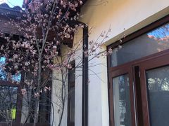 -大连金石滩绿发温泉假日酒店