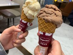 比利时巧克力品脱冰淇淋-哈根达斯(赛特奥莱店)