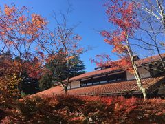 -轻井泽王子购物广场