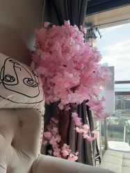 -哈颜科技轻美·