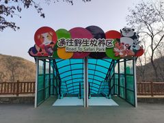 -大连森林动物园