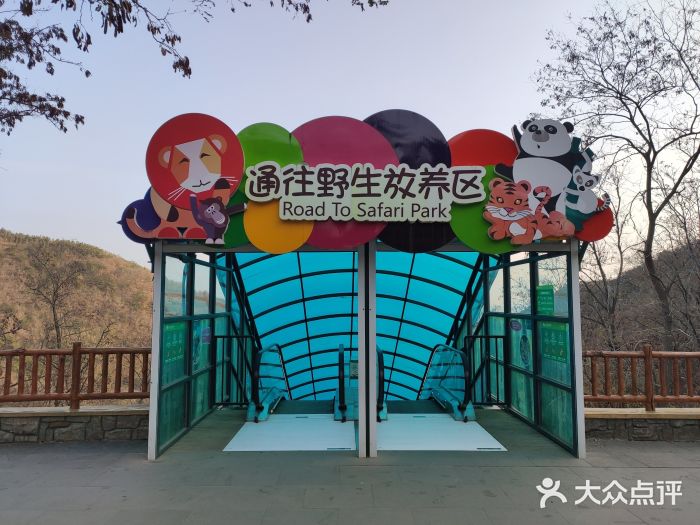 大连森林动物园图片