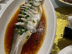 -金美华轩(东方路齐鲁店)