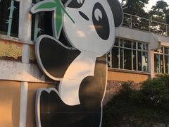 -石排湾郊野公园