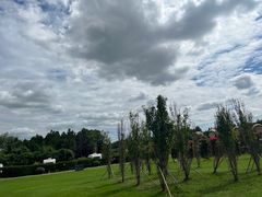 -东平国家森林公园