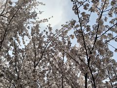 -玄武湖景区-情侣园游乐场