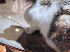 -八婆婆烧仙草(曾厝垵店)