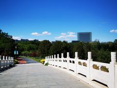 -大兴滨河森林公园