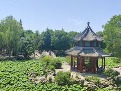 -莲池书院博物馆