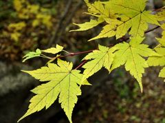 -丹东天桥沟景区