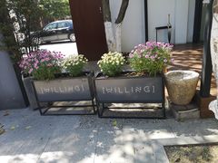 -Willing·Coffee&Brunch&Dinner(万达店)