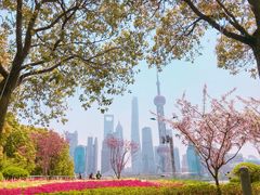 -北外滩滨江绿地