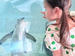 -海合安成都极地海洋公园