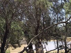 -威勒比开放式动物园