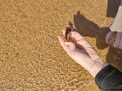 -仙浴湾广场