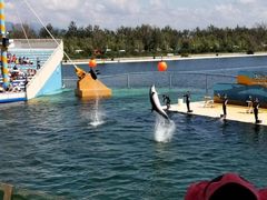 -秦皇岛乐岛海洋王国