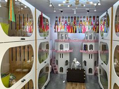 -青奢宠物·青奢猫舍