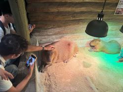 -Zoolung Zoolung动物主题公园(海信广场店)