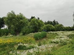 -汉长安城未央宫国家考古遗址公园