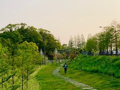 -长兴岛郊野公园农场食堂