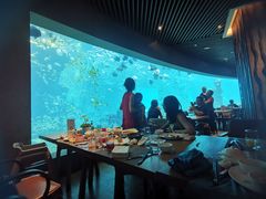 -海棠湾洲际-涛·海底餐厅·美人鱼·自助餐·海底隧道