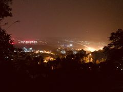 -铁山坪森林公园