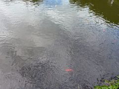 -青礁慈济宫
