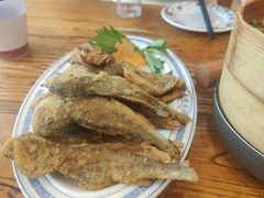 -老雒阳面馆·水席·洛阳菜(纱厂路店)