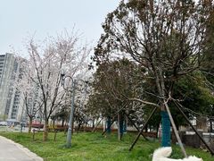 -艾贝尔宠物医院·狂犬免疫点(江山金象城店)