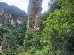 -龙湾潭国家森林公园