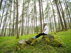 -硗碛藏寨·神木垒景区