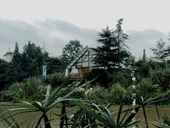 -桤木河湿地公园