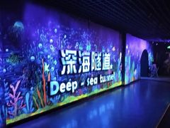 -秦皇岛新澳海底世界