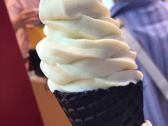 豆乳冰淇淋-仙境豆夫(步行街旗舰店)