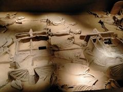 -洛阳周王城天子驾六博物馆