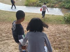 -风云岭森林公园