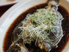 -青岛富力艾美酒店