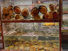 水产区-甄御•海鲜新青岛菜(麦岛店)